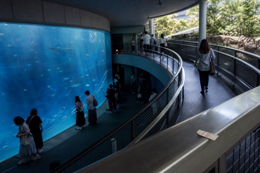 Wide view of a huge blue aquarium tank with a spiral walkway descending around it