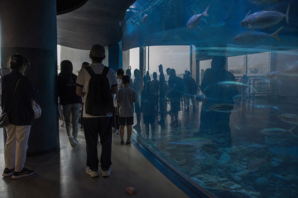 Visitors gathered at a curved glass panel watching fish swim past in soft light
