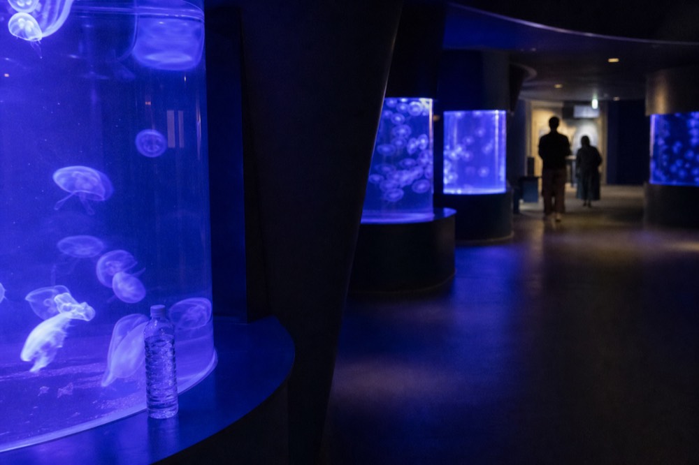 Dimly lit aquarium gallery glowing deep blue with jellyfish tanks along the wall