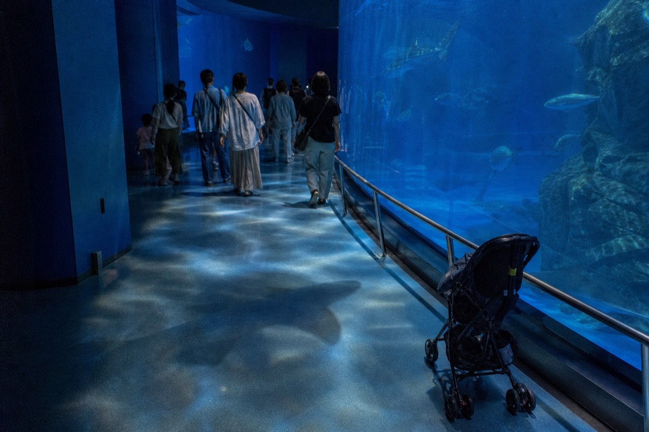 Blue-lit aquarium tunnel with visitors walking past a curved glass wall