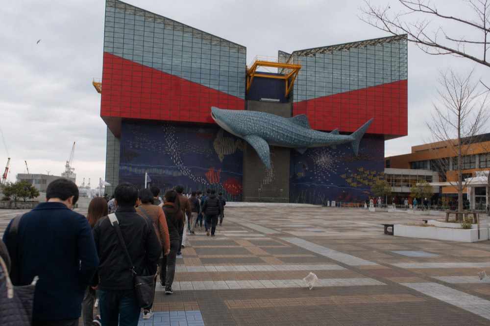 A queue of visitors lining up outside the Kaiyukan entrance under a large whale shark banner