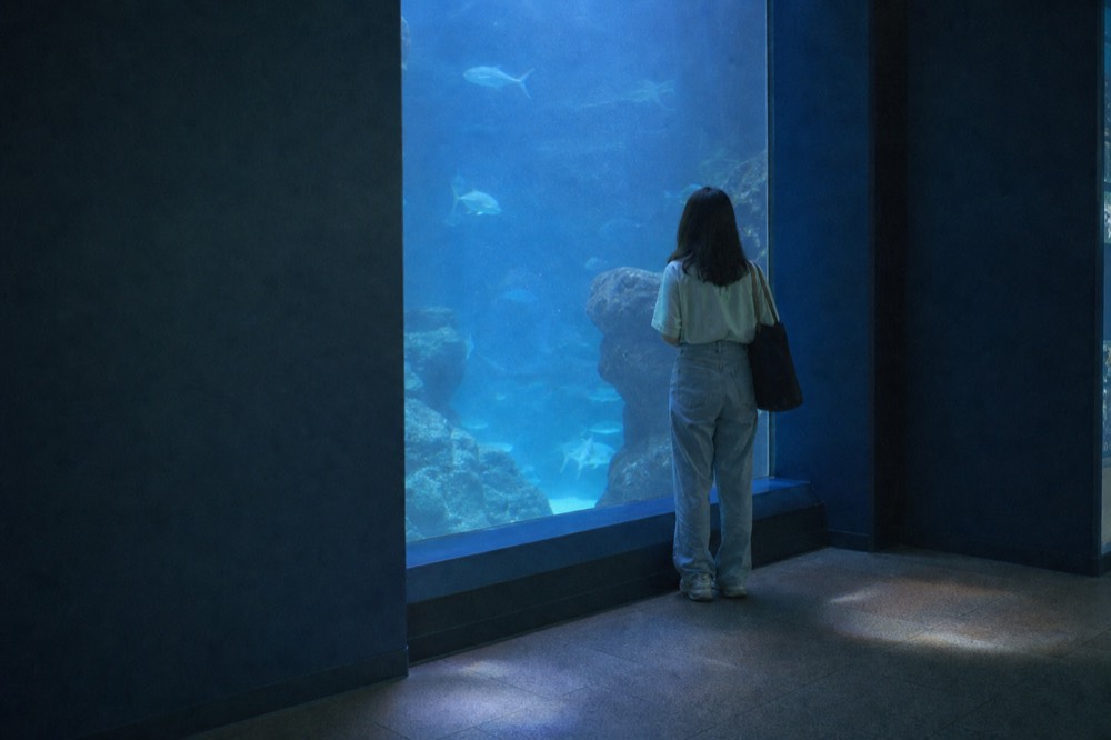 Large aquarium tank wall with dim blue lighting and a glass viewing panel