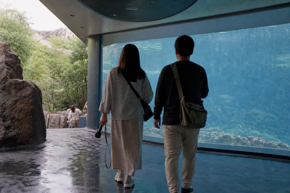 Visitors standing before a tall curved aquarium window with soft overhead light
