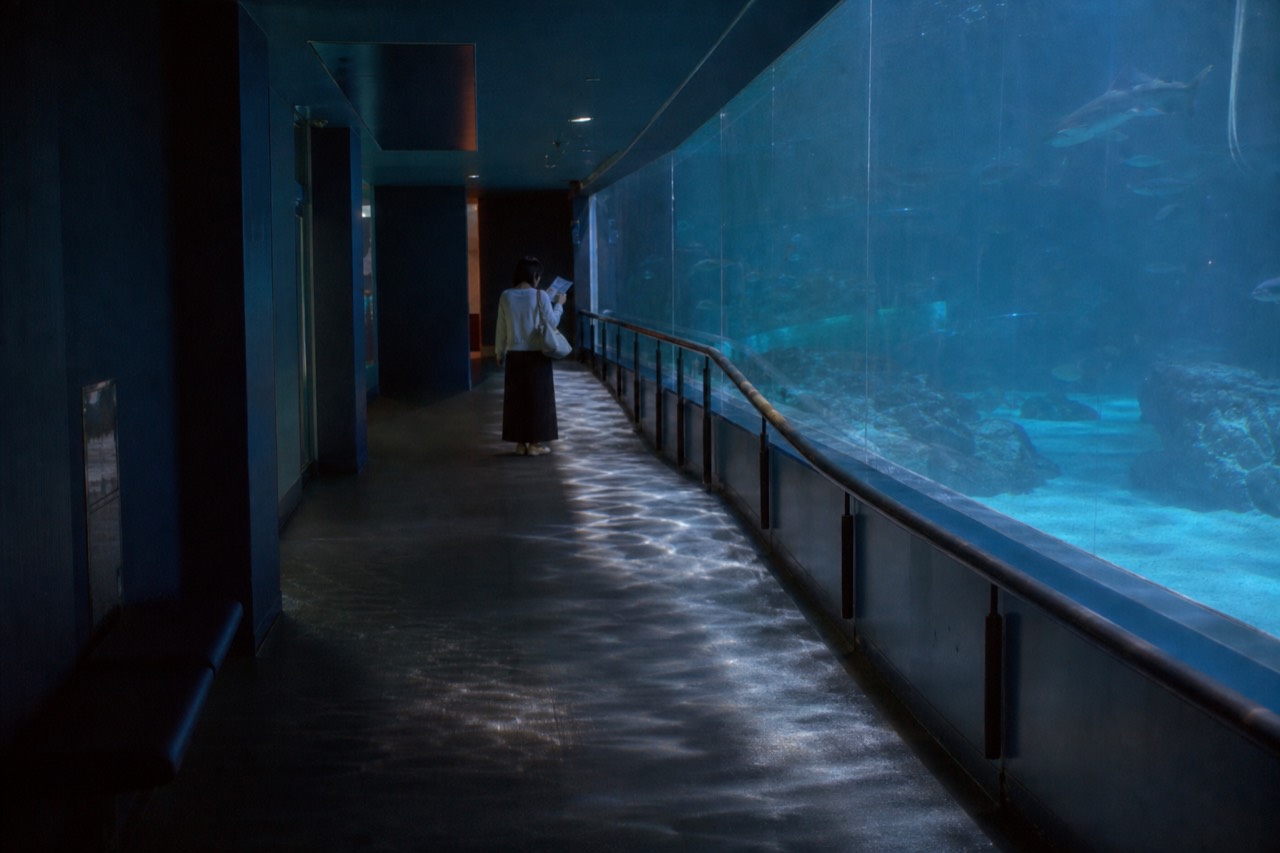 Blue-lit aquarium corridor with tall viewing glass and quiet walkway