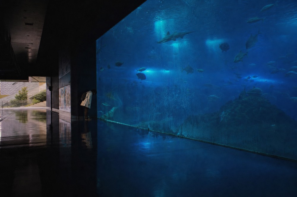 A tall glass aquarium wall in a dark hall with silhouetted fish and rippling blue light
