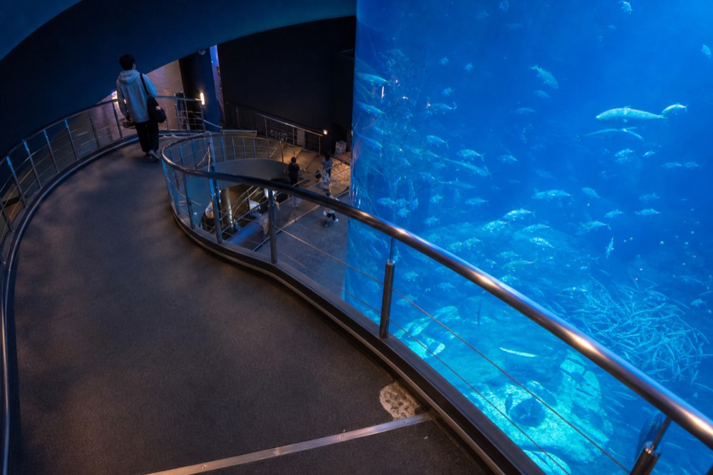 A spiral ramp curving down around a huge central aquarium tank filled with fish