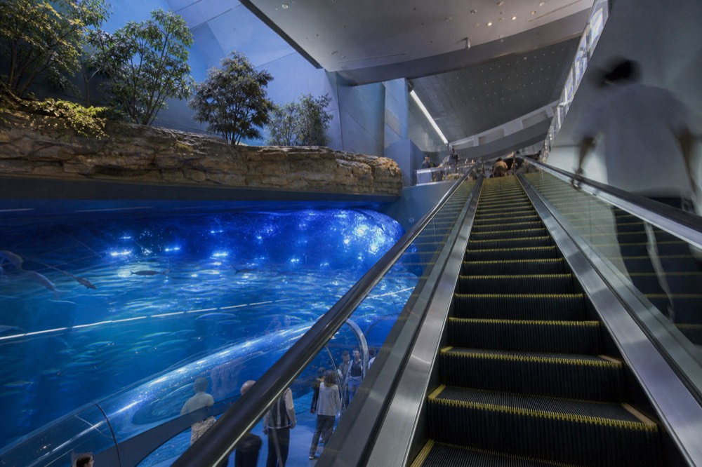 Escalator rising toward the top floor of an aquarium with a glowing blue tunnel tank visible below