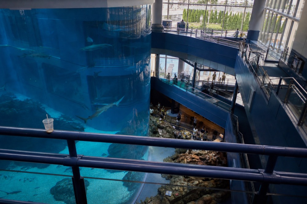 Multi-storey view of a huge aquarium tank with sharks and rays swimming past ramps and walkways on several levels