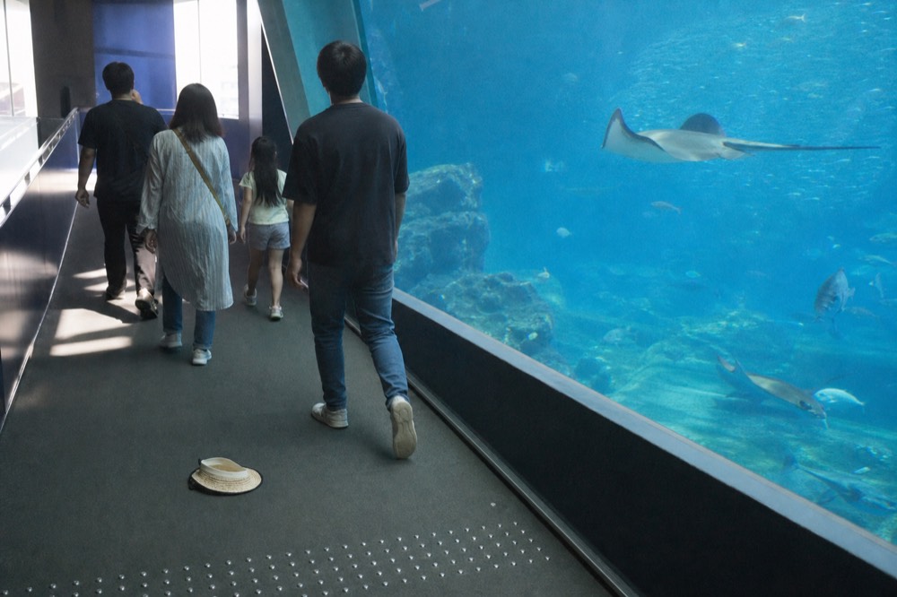 Visitors walking a ramp beside a tall glass aquarium wall with schools of fish and a ray in blue water