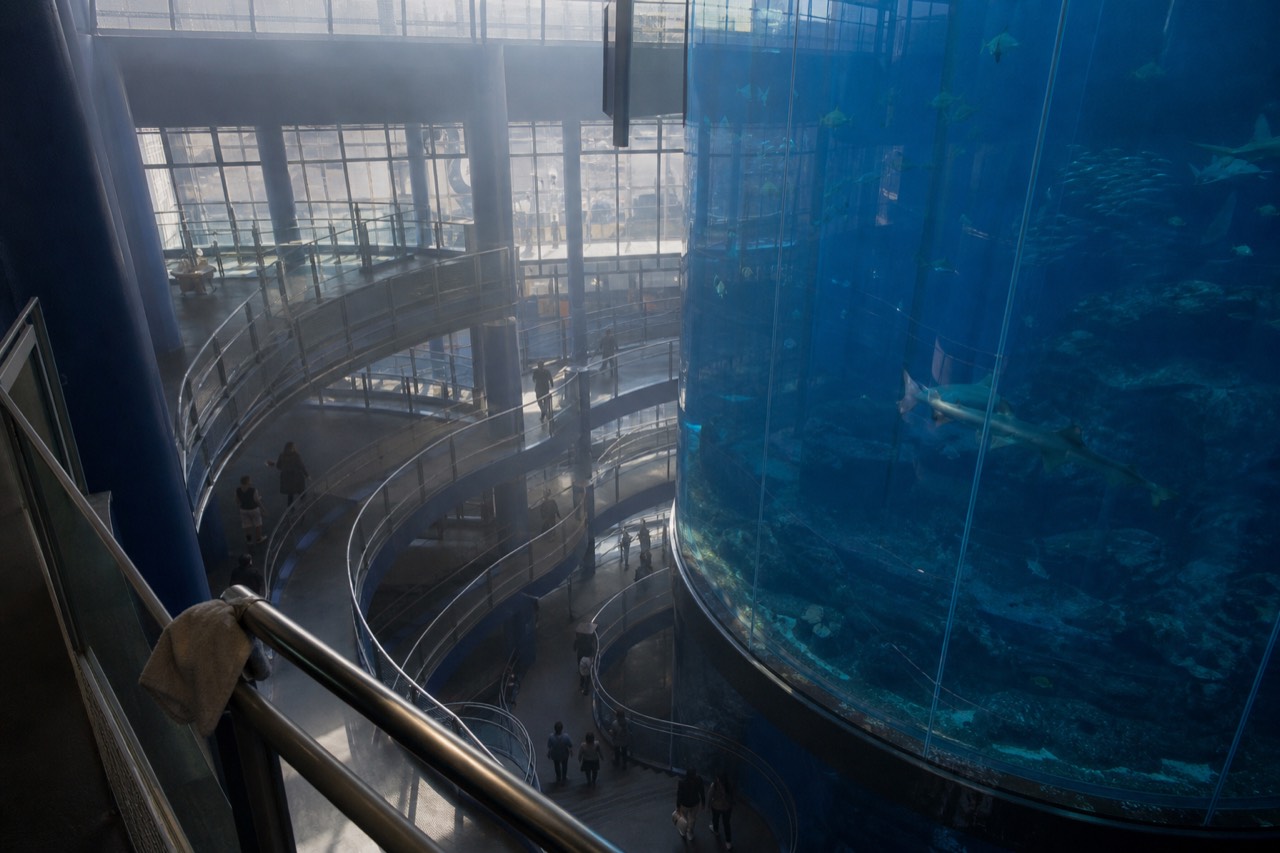 Interior of a large aquarium building with a tall blue central water tank and ramps winding downward around it