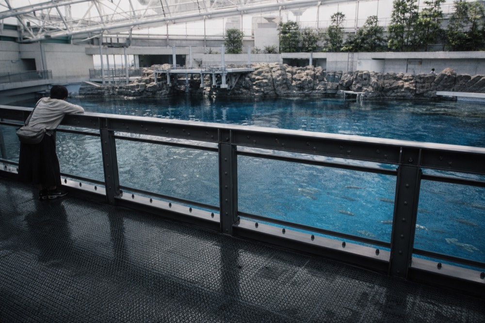 A wide central aquarium tank seen from a high walkway, with schooling fish drifting through blue water