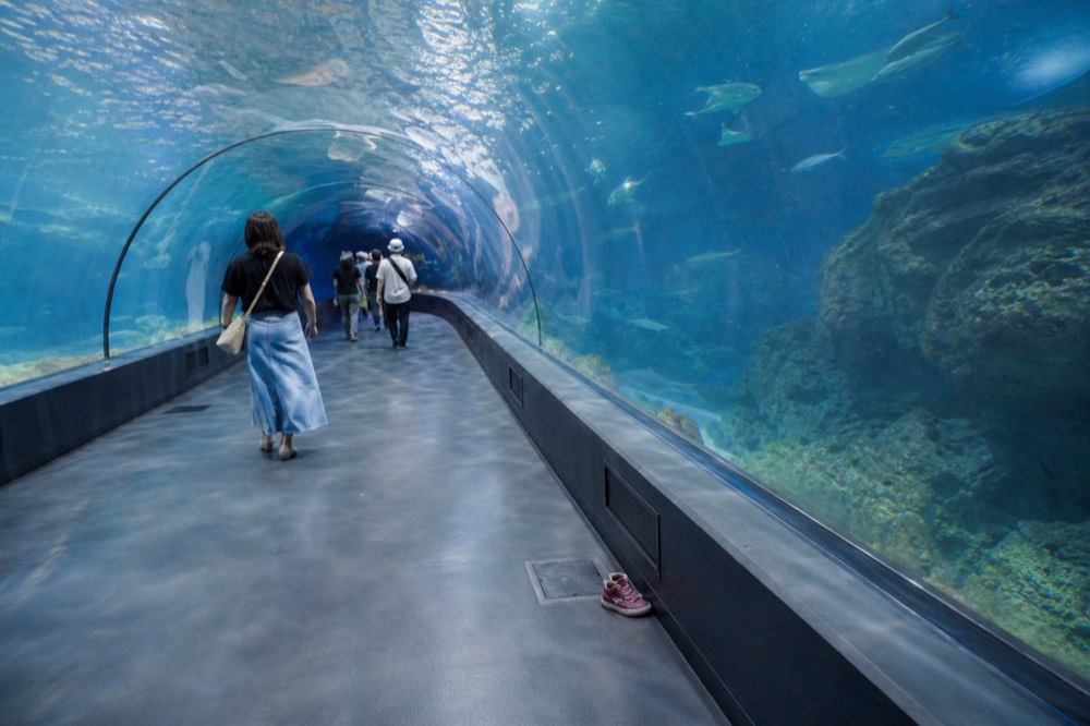A curved acrylic tunnel aquarium with visitors walking beneath rays and reef fish overhead
