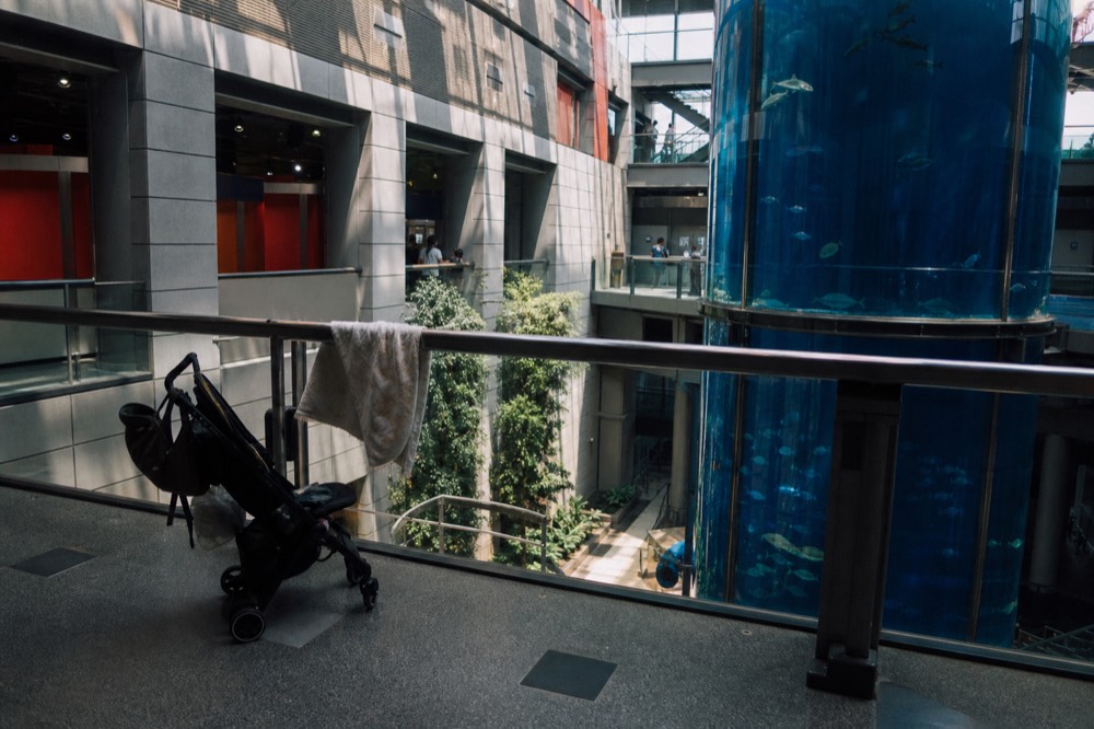 A deep blue cylindrical aquarium tank rising through several floors, seen from a lower gallery
