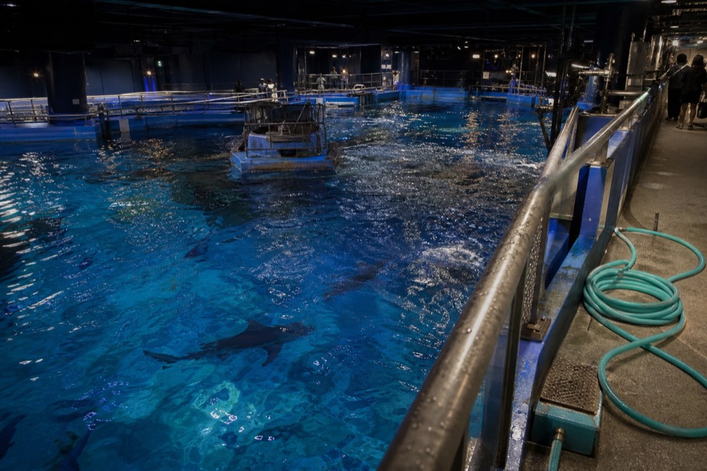 A massive open-topped aquarium tank seen from an upper deck, with dark shark shapes below the surface