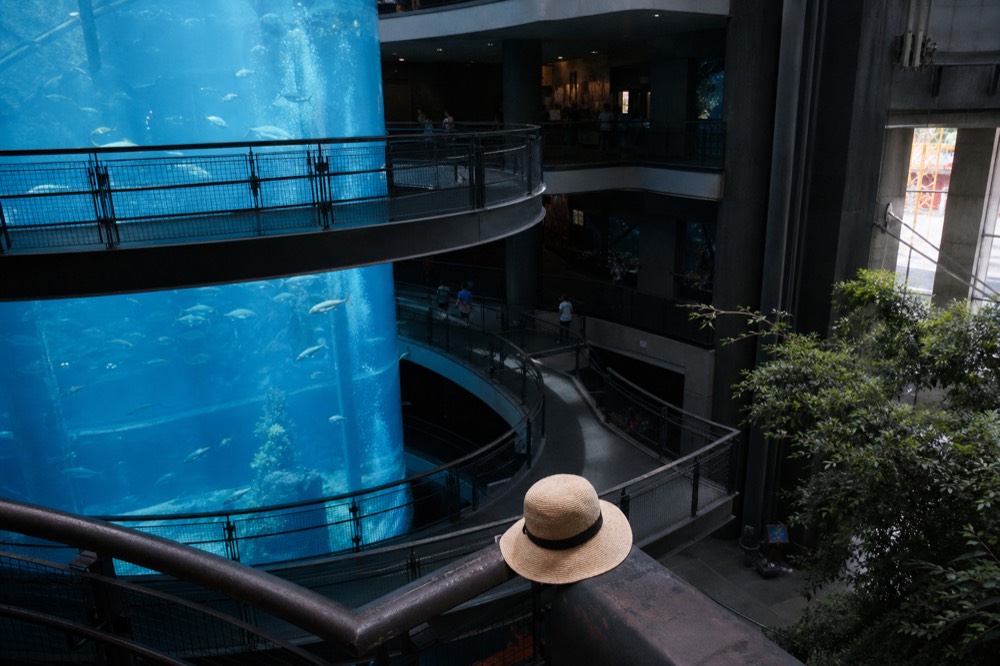 A tall open aquarium atrium with ringed walkways on several floors around a central tank