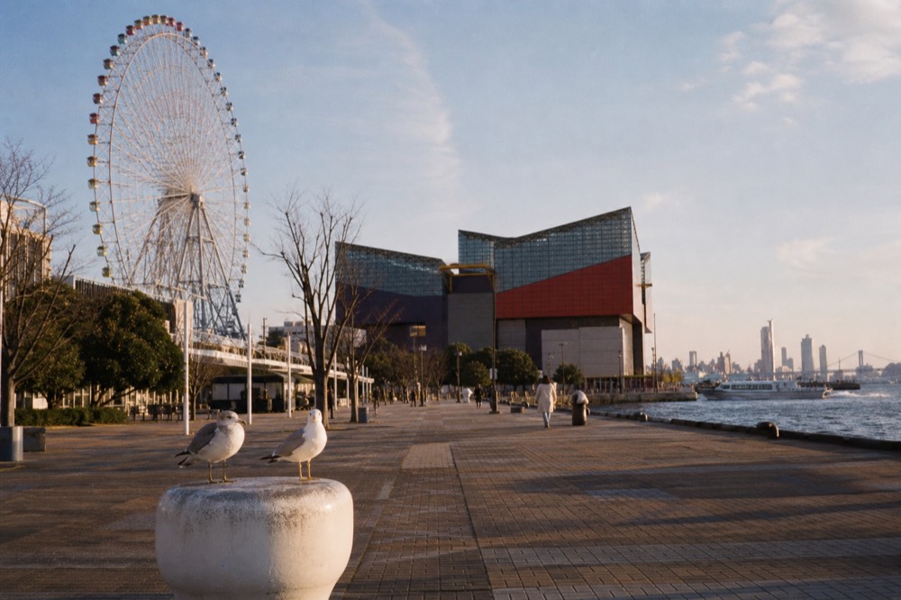A waterfront plaza with a tall Ferris wheel and a large curved aquarium building beside a harbour