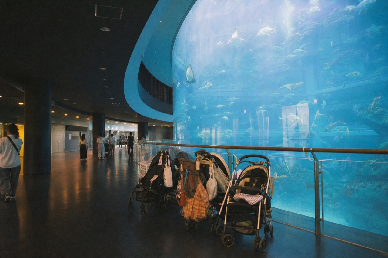 A curved blue aquarium gallery lit softly, with a giant central water tank rising through several floors of an open atrium