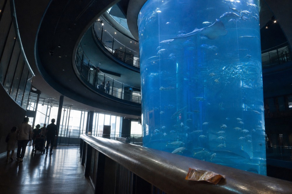 Wide cylindrical aquarium tank viewed from a lower floor with a spiral walkway rising above