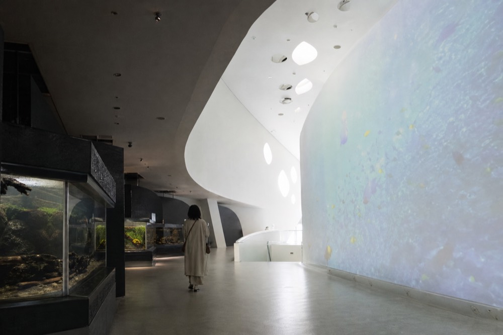 A bright white exhibition space with low-lit tanks and a large video projection on the wall