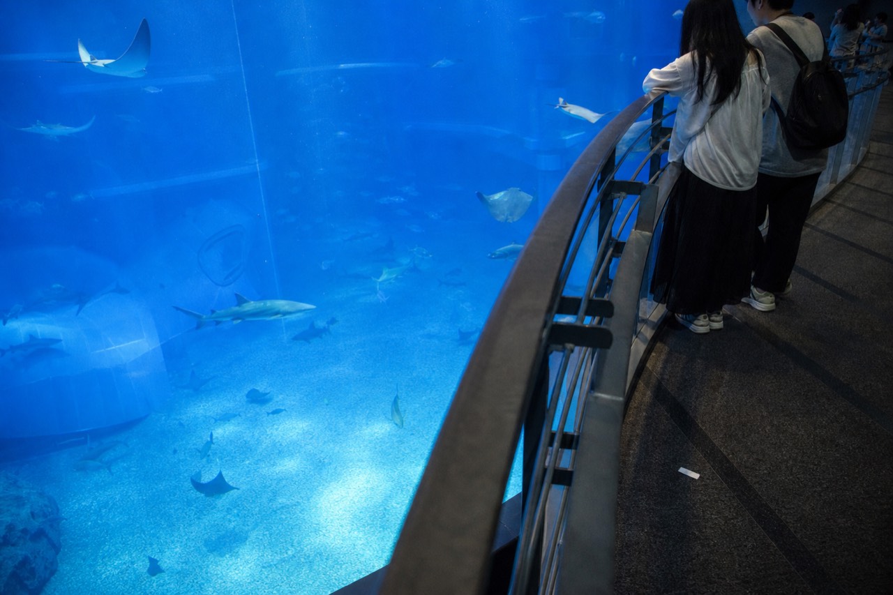 A vast blue aquarium tank viewed from an upper floor, with sharks and rays swimming below a glass walkway