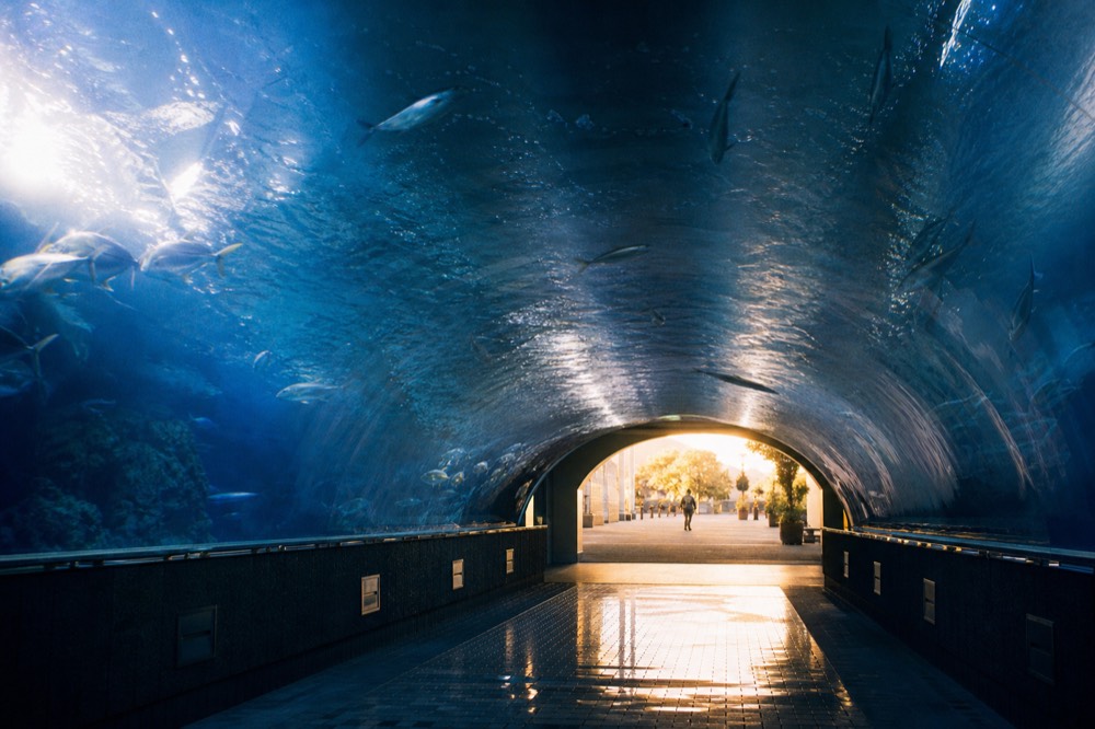 The entrance building with the Aqua Gate tunnel visible, sun shining through the curved glass and fish swimming overhead
