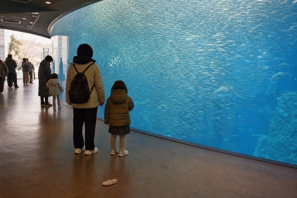 Visitors looking up at a tall curved aquarium wall filled with schooling fish
