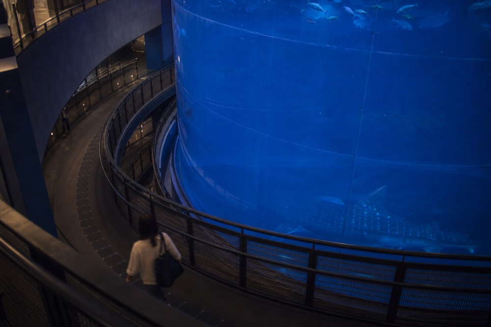 A spiral ramp wrapping around a huge central aquarium tank seen from an upper floor