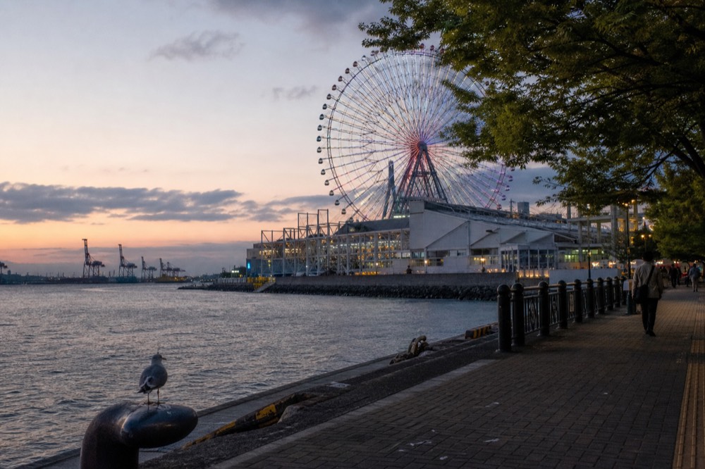 A giant ferris wheel and harbour buildings beside a waterfront promenade at dusk