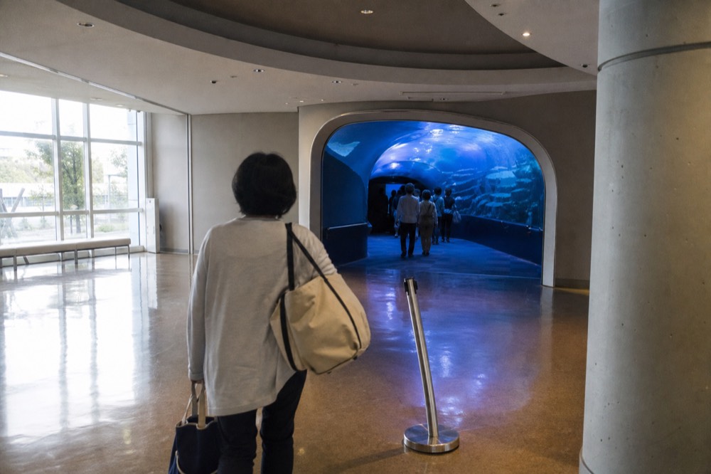 A ticket gate entrance hall with a curved aquarium tunnel glowing blue