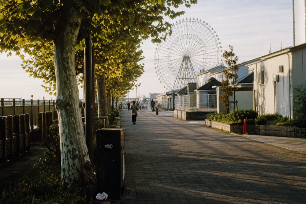 Tree-lined walkway leading toward the harbour district with the giant Ferris wheel visible ahead