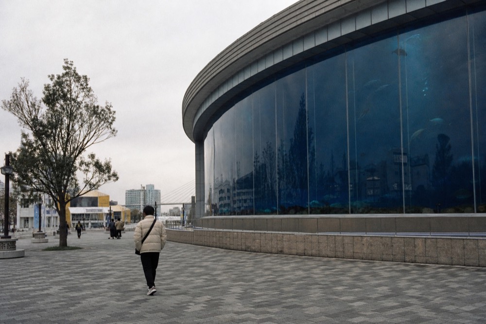 Large curved glass aquarium wall with fish silhouettes and deep blue water behind the viewing gallery