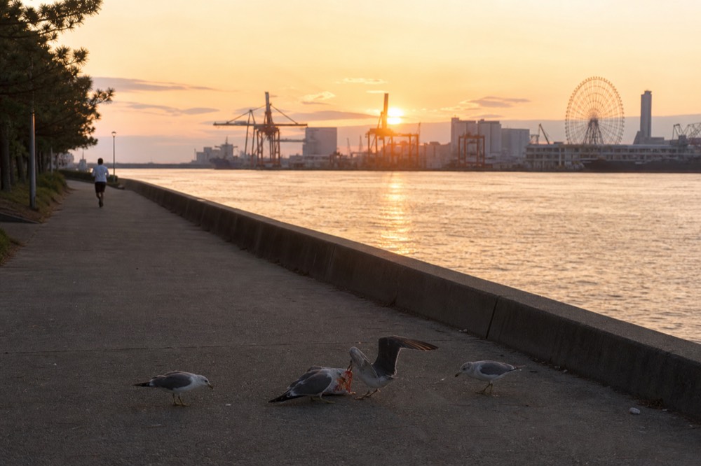 Evening light across Osaka Bay with the harbour silhouetted and open water stretching to the horizon