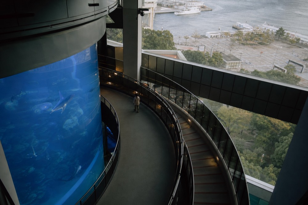 A curved walkway spiralling down around a huge central aquarium tank seen from an upper floor