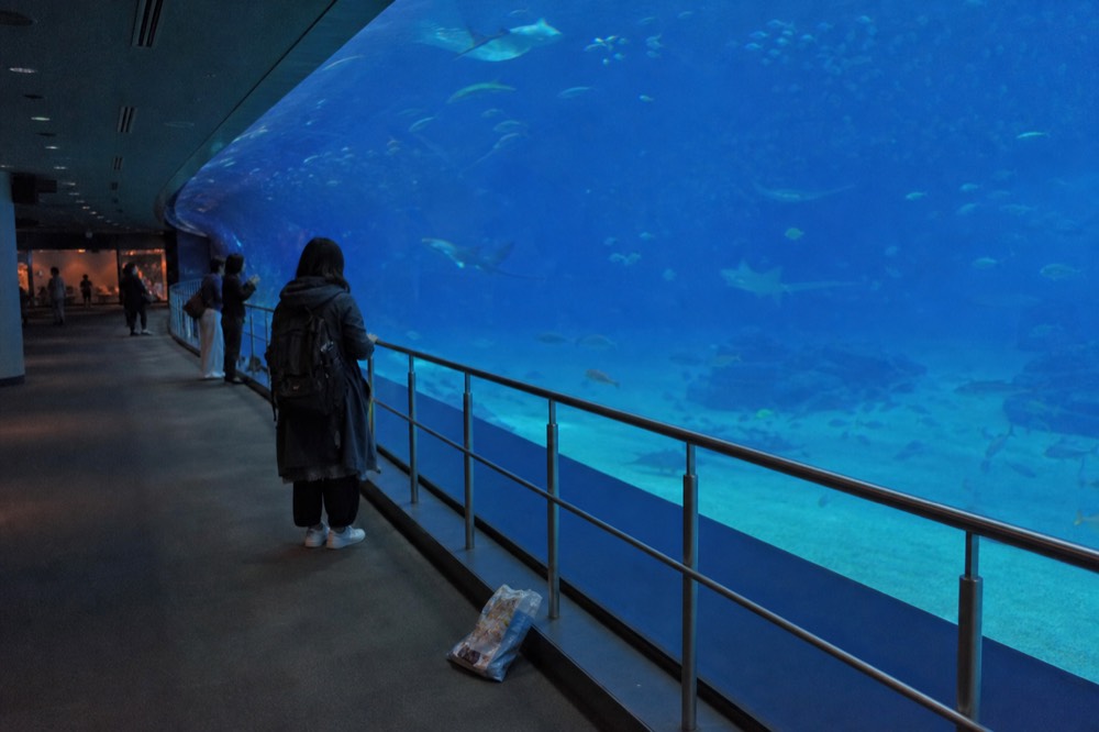 A wide aquarium gallery in soft blue light with visitors spread out along a glass wall