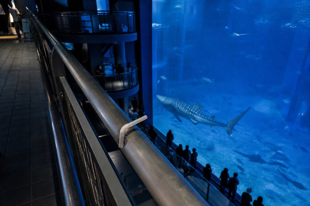 Tall central aquarium tank seen from an upper floor walkway, water lit blue