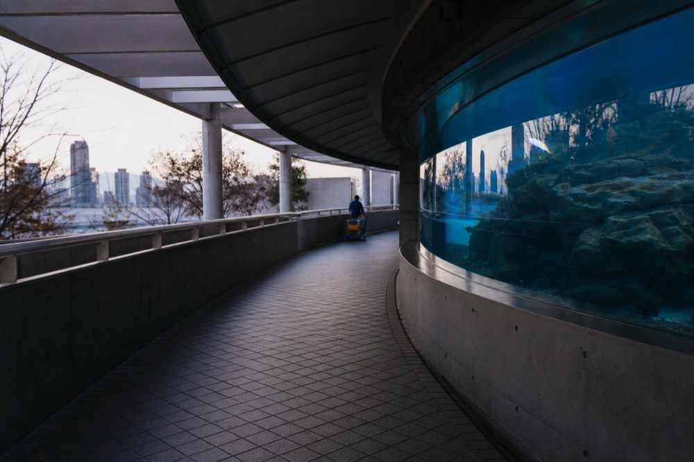 Empty aquarium walkway curving past a dim glass tank in early morning light