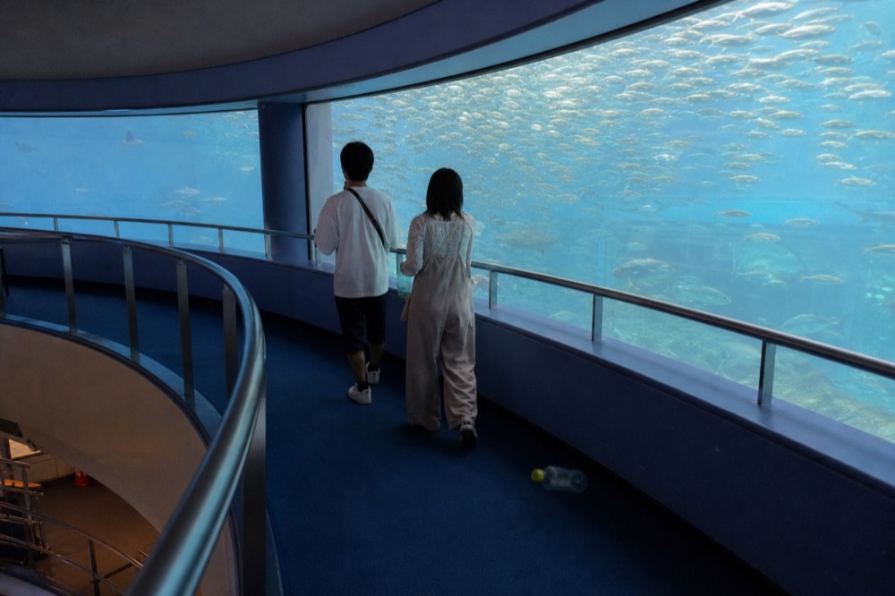 Two aquarium visitors watching a giant curved tank wall filled with schooling fish