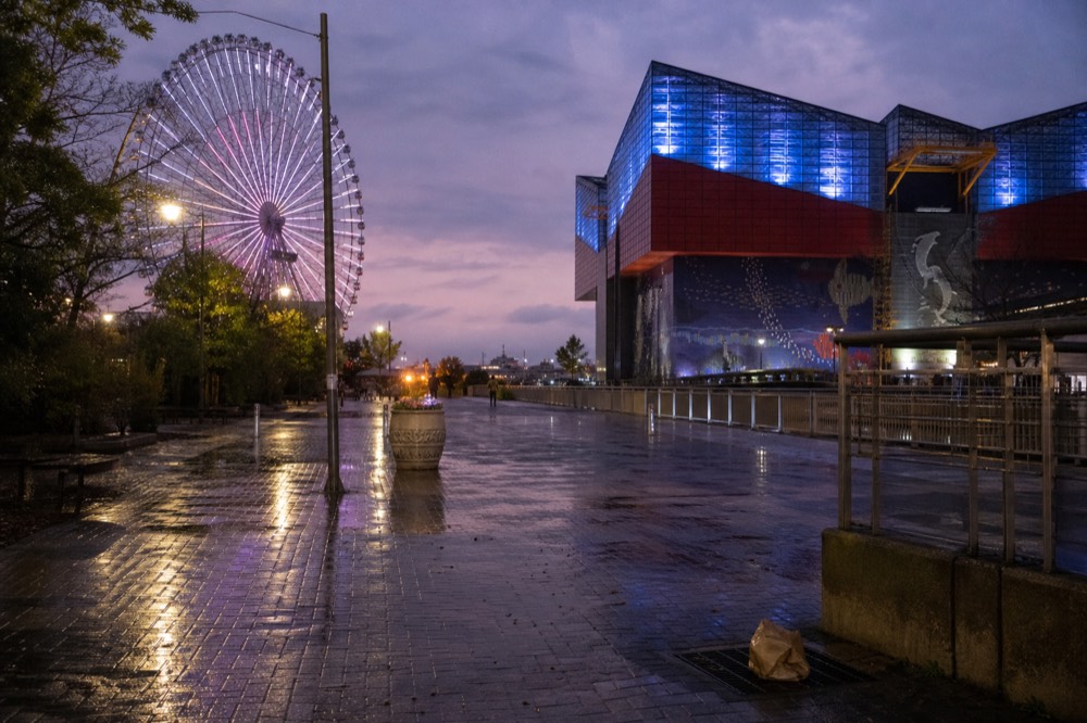 Osaka aquarium building exterior at dusk with a giant ferris wheel behind it