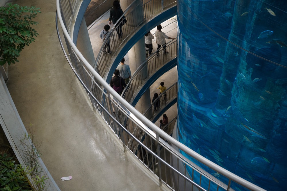 Visitors walking a downward spiral ramp around a large central aquarium tank