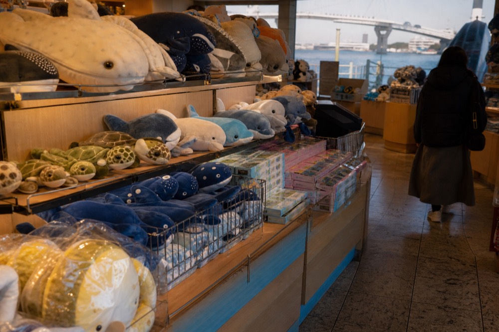 A museum shop area with shelves of plush toys and gifts near an aquarium exit