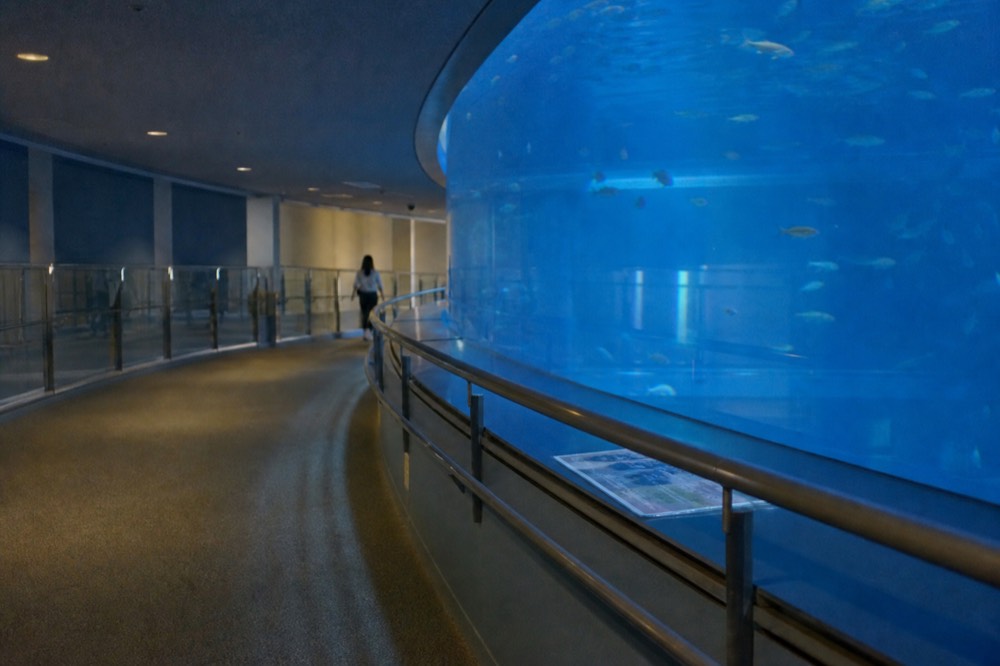 A quiet spiral walkway around the central tank with few visitors present