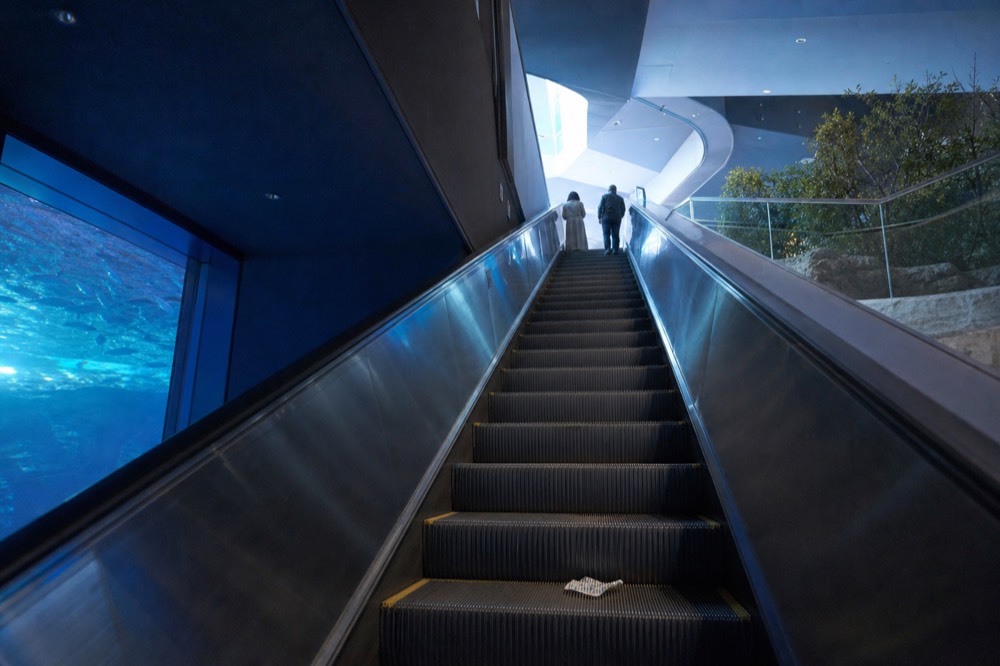 An escalator rising through an aquarium building toward a bright upper floor