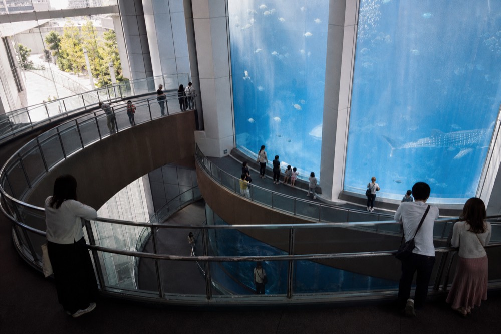Two floors of a spiral aquarium ramp overlooking a deep central tank