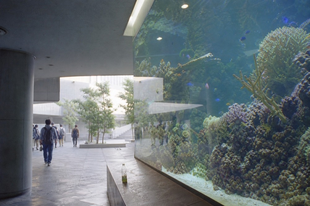 A tall glass tank of tropical fish and coral lit from above in an exhibit hall