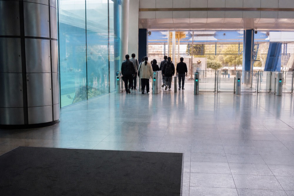 Aquarium entrance hall with a tall glass wall and soft blue light