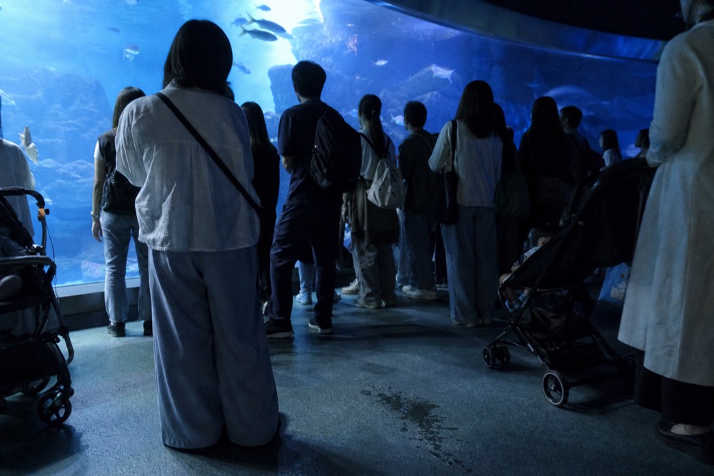 Dim exhibit hall lit by blue tanks with silhouetted visitors watching fish