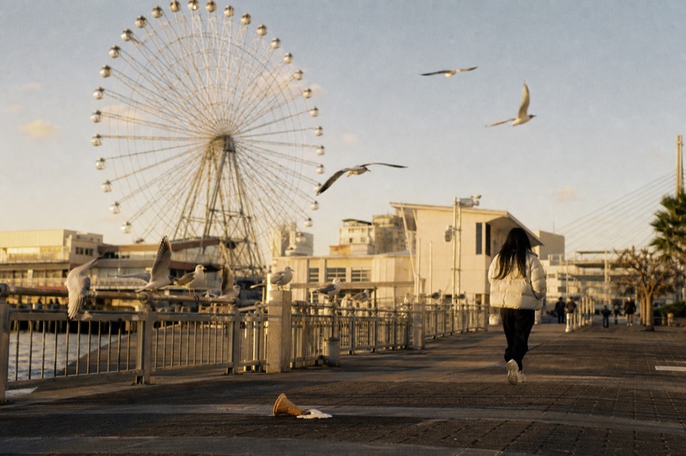 The Tempozan Giant Ferris Wheel seen from the harbor village walkway