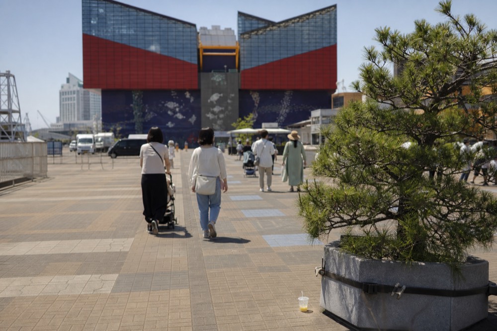 Families walking along the waterfront toward the aquarium entrance on a clear day