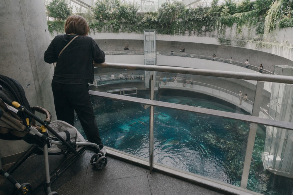 Visitors looking down into a large aquarium tank from an upper floor railing