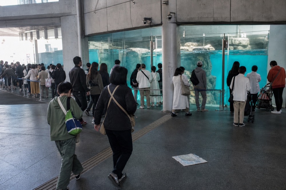 A busy aquarium entrance hall with ticket gates and a large tank behind glass